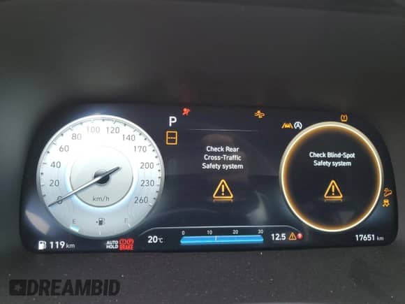 2025 Hyundai Palisade XRT с VIN KM8R3DGE2SU831160, выставлен на аукционе Copart как лот 80966065 с пробегом 17 651 миль миль и Списание • Salvage title. История ставок и продаж доступна на DreamBid. Изображение 9.