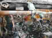 2009 Dodge 1500 SLT z VIN 1D3HB18P89S807718, wystawiony jako Copart lot #71211144 z przebiegiem Nie podano mil oraz Nie do naprawy • Non repairable. Historia ofert i sprzedaży dostępna na DreamBid. Obrazek 9.