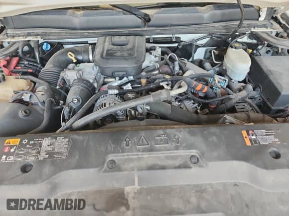 2013 Chevrolet Silverado 2500HD Work Truck z VIN 1GB1KVC8XDF163064, wystawiony jako Copart lot #80298785 z przebiegiem 214 357 mil mil oraz Czysty tytuł • Clean title. Historia ofert i sprzedaży dostępna na DreamBid. Obrazek 11.