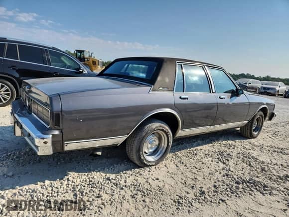 1985 Chevrolet Caprice с VIN 1G1BN69H6FY135833, выставлен на аукционе Copart как лот 80281155 с пробегом 2 381 миль миль и Списание • Salvage title. История ставок и продаж доступна на DreamBid. Изображение 3.