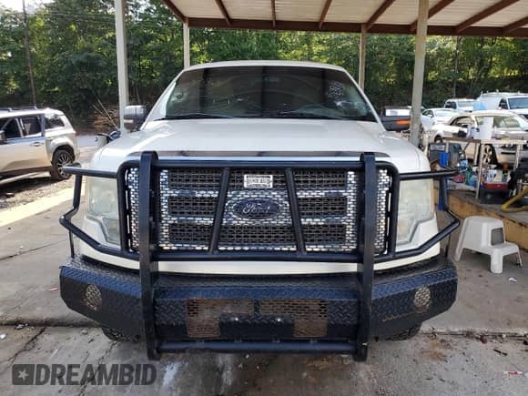 2009 Ford F-150 XL with VIN 1FTPW14VX9KB72613, listed as a Copart auction lot 60437565 with 261,461 mi miles and Salvage title. Bid and sale history available at DreamBid. Image 5.
