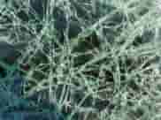 2022 Hyundai Elantra Limited с VIN 5NPLP4AG5NH057722, выставлен на аукционе Copart как лот 81438565 с пробегом Не указан миль и Списание • Salvage title. История ставок и продаж доступна на DreamBid. Изображение 9.