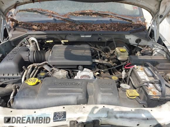 2001 Dodge Dakota Sport z VIN 1B7GL2AN81S101420, wystawiony jako IAAI lot #42387985 z przebiegiem 316 658 mil mil oraz . Historia ofert i sprzedaży dostępna na DreamBid. Obrazek 10.