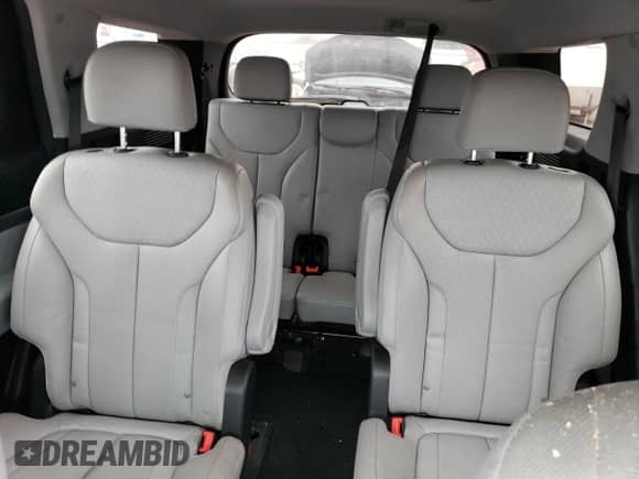 2020 Hyundai Palisade SEL с VIN KM8R4DHEXLU126300, выставлен на аукционе Copart как лот 66935554 с пробегом 96 257 миль миль и Списание • Salvage title. История ставок и продаж доступна на DreamBid. Изображение 10.