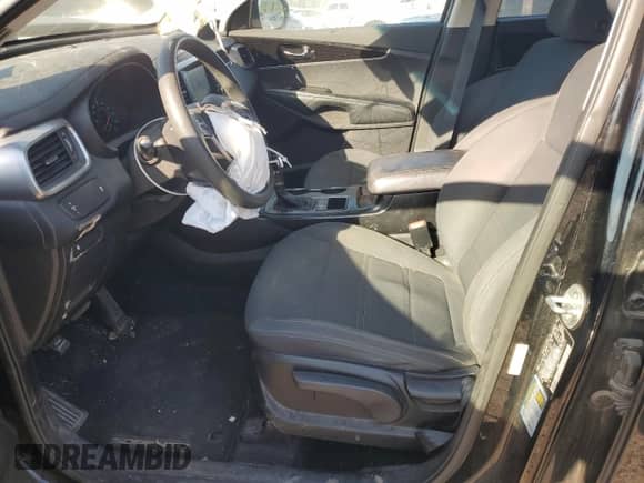 2019 Kia Sorento L z VIN 5XYPG4A36KG450601, wystawiony jako Copart lot #86319815 z przebiegiem 135 512 mil mil oraz Szkoda całkowita • Salvage title. Historia ofert i sprzedaży dostępna na DreamBid. Obrazek 7.