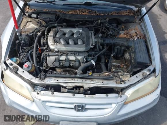 2002 Honda Accord EX with VIN 1HGCG22582A019939, listed as a IAAI auction lot 42667197 with 215,902 mi miles and . Bid and sale history available at DreamBid. Image 10.