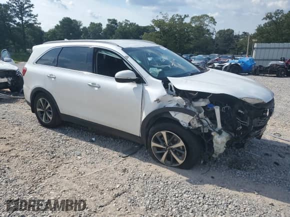 2019 Kia Sorento EX z VIN 5XYPH4A59KG453118, wystawiony jako Copart lot #62486135 z przebiegiem 113 990 mil mil oraz Szkoda całkowita • Salvage title. Historia ofert i sprzedaży dostępna na DreamBid. Obrazek 4.