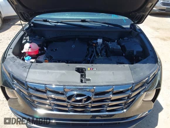 2023 Hyundai Tucson Limited with VIN 5NMJE3AE1PH290700, listed as a IAAI auction lot 42185245 with 34,534 mi miles and . Bid and sale history available at DreamBid. Image 10.