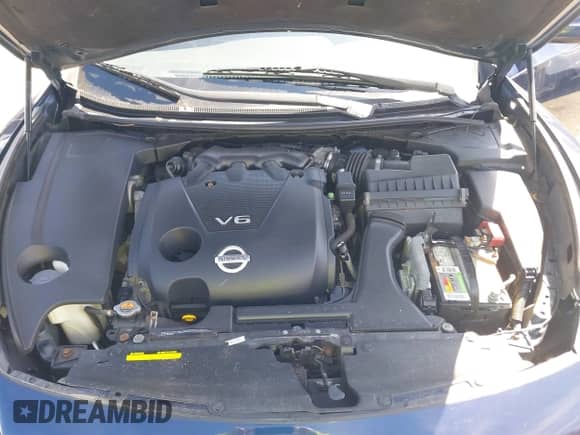 2013 Nissan Maxima SV z VIN 1N4AA5AP9DC805516, wystawiony jako IAAI lot #42028936 z przebiegiem 174 555 mil mil oraz . Historia ofert i sprzedaży dostępna na DreamBid. Obrazek 10.