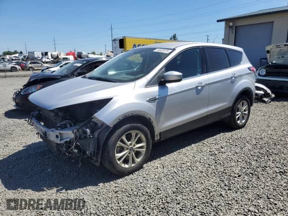 2017 Ford Escape SE with VIN 1FMCU9GD9HUC51825, listed as a Copart auction lot 54832075 with 110,079 mi miles and Salvage title. Bid and sale history available at DreamBid. Image 1.