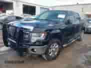 2014 Ford F-150 XLT with VIN 1FTFW1EF9EKD51674, listed as a IAAI auction lot 43359729 with 223,352 mi miles and . Bid and sale history available at DreamBid. Image 2.