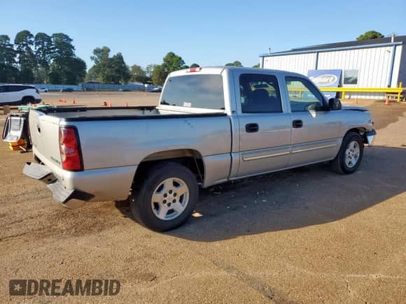 2005 Chevrolet Silverado 1500 LS with VIN 2GCEC13T051340351, listed as a Copart auction lot 85701255 with 169,802 mi miles and Salvage title. Bid and sale history available at DreamBid. Image 3.
