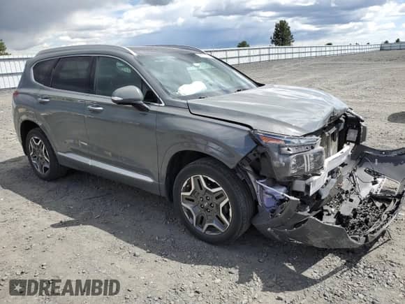 2021 Hyundai Santa Fe Calligraphy with VIN 5NMS5DALXMH345732, listed as a Copart auction lot 59556865 with 45,874 mi miles and Salvage title. Bid and sale history available at DreamBid. Image 4.
