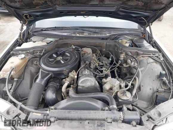 1982 Mercedes-Benz 300 SD z VIN WDBCB20A2CB021029, wystawiony jako IAAI lot #42752691 z przebiegiem 183 390 mil mil oraz . Historia ofert i sprzedaży dostępna na DreamBid. Obrazek 10.