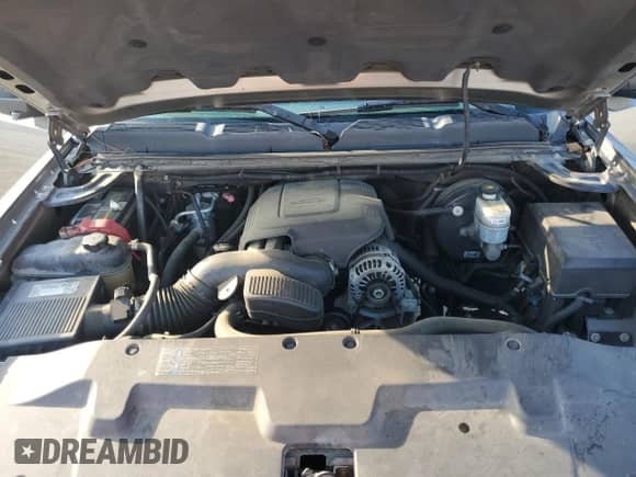 2009 Chevrolet Silverado 1500 LS with VIN 3GCEC13C79G203226, listed as a Copart auction lot 90464225 with 223,903 mi miles and Salvage title. Bid and sale history available at DreamBid. Image 12.