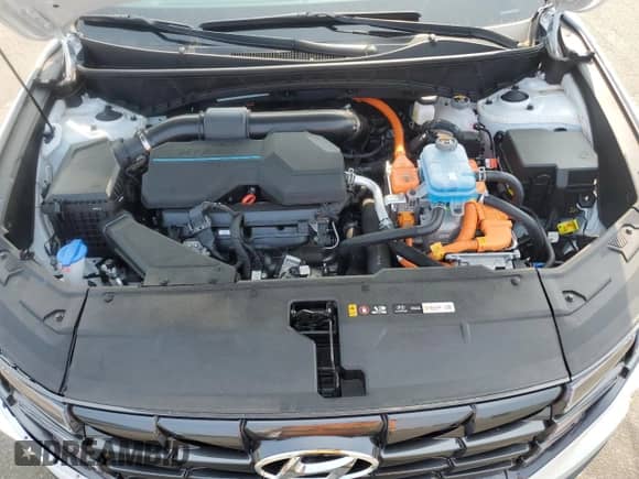 2024 Hyundai Tucson SEL with VIN KM8JBDD24RU167660, listed as a Copart auction lot 59856835 with 12,700 mi miles and Non repairable. Bid and sale history available at DreamBid. Image 12.