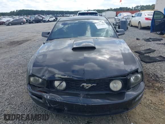 2007 Ford Mustang GT Deluxe z VIN 1ZVHT82H675250977, wystawiony jako IAAI lot #43314696 z przebiegiem 152 490 mil mil oraz . Historia ofert i sprzedaży dostępna na DreamBid. Obrazek 12.
