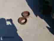 1993 Jeep Wrangler с VIN 1J4FY29S1PP204403, выставлен на аукционе Copart как лот 59502405 с пробегом Не указан миль и Списание • Salvage title. История ставок и продаж доступна на DreamBid. Изображение 12.