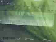 2007 Ford Mustang Deluxe z VIN 1ZVHT80N875216497, wystawiony jako IAAI lot #43532986 z przebiegiem 206 216 mil mil oraz . Historia ofert i sprzedaży dostępna na DreamBid. Obrazek 9.