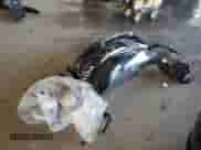 2023 Dodge Charger Police с VIN 2C3CDXKG1PH644153, выставлен на аукционе Copart как лот 81802325 с пробегом 17 964 миль миль и Списание • Salvage title. История ставок и продаж доступна на DreamBid. Изображение 12.