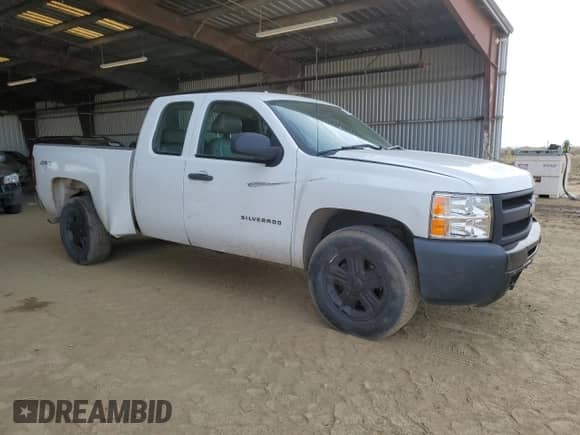 2010 Chevrolet Silverado 1500 Work Truck with VIN 1GCSKPE36AZ232971, listed as a Copart auction lot 42252495 with 175,710 mi miles and Salvage title. Bid and sale history available at DreamBid. Image 4.