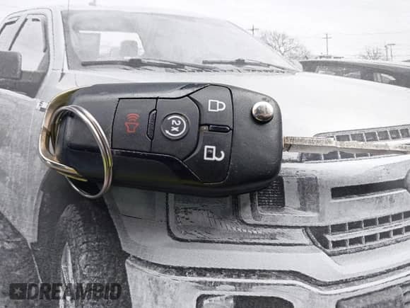 2018 Ford F-150 XL z VIN 1FTEX1EB0JFE62848, wystawiony jako IAAI lot #41658929 z przebiegiem 63 185 mil mil oraz . Historia ofert i sprzedaży dostępna na DreamBid. Obrazek 11.