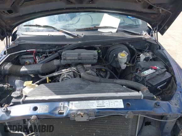 2001 Dodge 1500 with VIN 1B7HC13Y51J259659, listed as a IAAI auction lot 43314014 with 212,677 mi miles and . Bid and sale history available at DreamBid. Image 10.