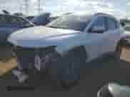 2022 Hyundai Tucson Blue with VIN KM8JBCA17NU020149, listed as a Copart auction lot 83856095 with 81,788 mi miles and Salvage title. Bid and sale history available at DreamBid. Image 1.