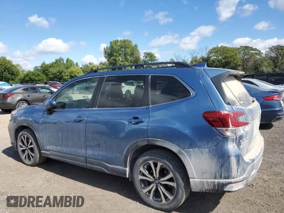 2019 Subaru Forester Limited с VIN JF2SKASC2KH417884, выставлен на аукционе Copart как лот 71089635 с пробегом 99 269 миль миль и Списание • Salvage title. История ставок и продаж доступна на DreamBid. Изображение 2.