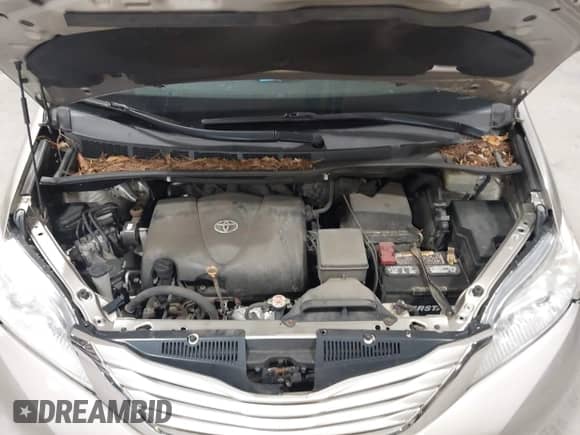 2017 Toyota Sienna LE Auto Access Seat z VIN 5TDKZ3DC3HS842392, wystawiony jako IAAI lot #43164475 z przebiegiem 98 530 mil mil oraz . Historia ofert i sprzedaży dostępna na DreamBid. Obrazek 10.