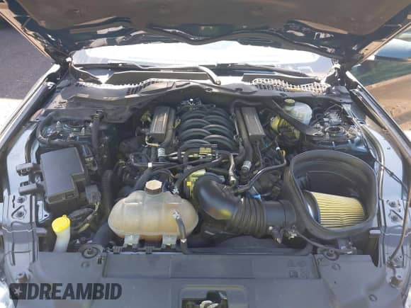 2019 Ford Mustang Bullitt z VIN 1FA6P8K07K5505515, wystawiony jako IAAI lot #42477035 z przebiegiem 53 950 mil mil oraz . Historia ofert i sprzedaży dostępna na DreamBid. Obrazek 10.