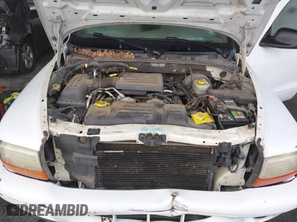 2001 Dodge Durango with VIN 1B4HS28N71F637259, listed as a IAAI auction lot 43451682 with 163,358 mi miles and . Bid and sale history available at DreamBid. Image 10.