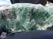 2005 Dodge Dakota Laramie with VIN 1D7HW58N05S195386, listed as a IAAI auction lot 42340629 with Not provided miles and . Bid and sale history available at DreamBid. Image 7.