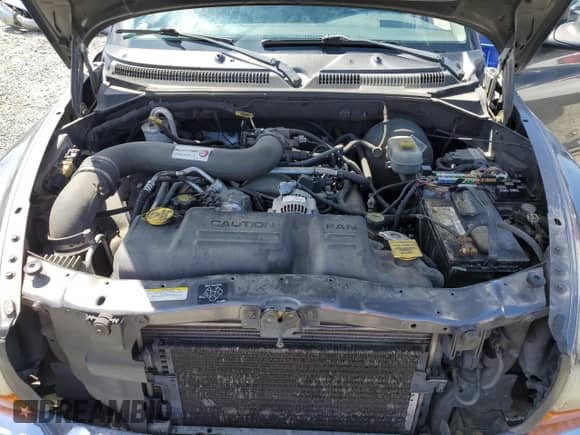 2002 Dodge Dakota SLT with VIN 1B7HG48N02S548464, listed as a Copart auction lot 58943135 with 239,081 mi miles and Salvage title. Bid and sale history available at DreamBid. Image 11.