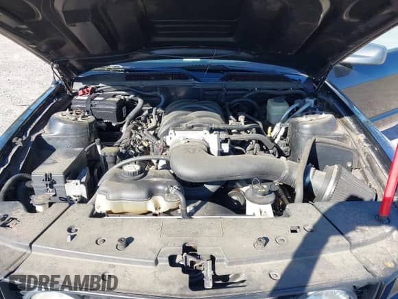 2007 Ford Mustang GT Deluxe с VIN 1ZVFT82H175320750, выставлен на аукционе IAAI как лот 43484852 с пробегом 104 474 миль миль и . История ставок и продаж доступна на DreamBid. Изображение 10.
