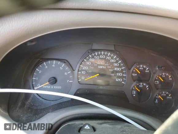 2002 Chevrolet TrailBlazer LS with VIN 1GNDT13S722281272, listed as a Copart auction lot 42205455 with Not provided miles and Salvage title. Bid and sale history available at DreamBid. Image 9.