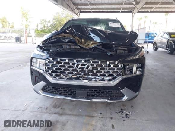 2022 Hyundai Santa Fe XRT с VIN 5NMS64AJ2NH401188, выставлен на аукционе IAAI как лот 43122795 с пробегом 53 795 миль миль и . История ставок и продаж доступна на DreamBid. Изображение 12.
