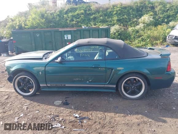 2001 Ford Mustang Deluxe with VIN 1FAFP44431F154216, listed as a IAAI auction lot 43208544 with Not provided miles and . Bid and sale history available at DreamBid. Image 15.