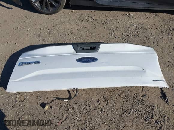 2016 Ford F-150 XLT with VIN 1FTEW1C89GKD45800, listed as a IAAI auction lot 43469376 with 164,627 mi miles and . Bid and sale history available at DreamBid. Image 12.