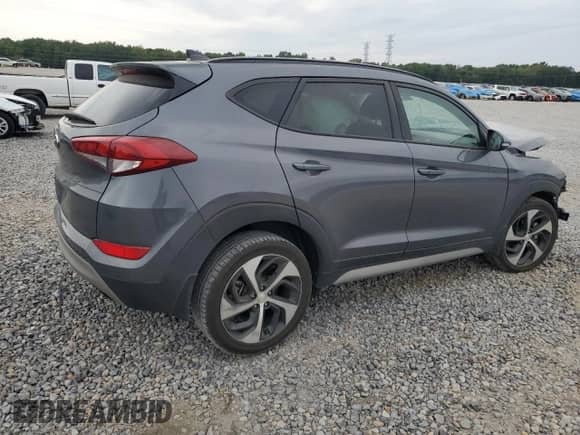 2018 Hyundai Tucson Value with VIN KM8J33A28JU805019, listed as a Copart auction lot 81215495 with Not provided miles and Salvage title. Bid and sale history available at DreamBid. Image 3.
