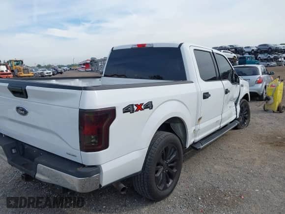 2015 Ford F-150 XLT с VIN 1FTEW1E85FFC40093, выставлен на аукционе IAAI как лот 41867052 с пробегом 257 931 миль миль и . История ставок и продаж доступна на DreamBid. Изображение 4.