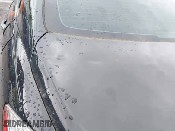 2009 Hyundai Genesis with VIN KMHGC46F59U051875, listed as a IAAI auction lot 42325230 with 192,536 mi miles and . Bid and sale history available at DreamBid. Image 6.