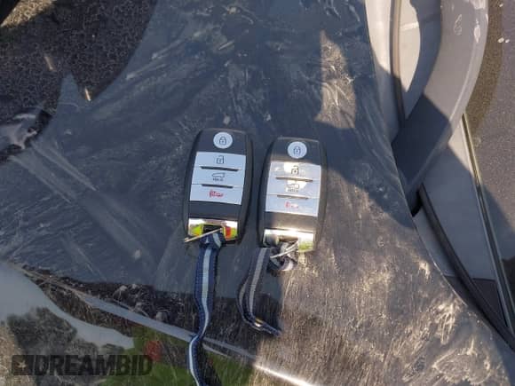 2016 Kia Sorento SXL with VIN 5XYPK4A53GG033928, listed as a IAAI auction lot 42639686 with 42,454 mi miles and . Bid and sale history available at DreamBid. Image 11.