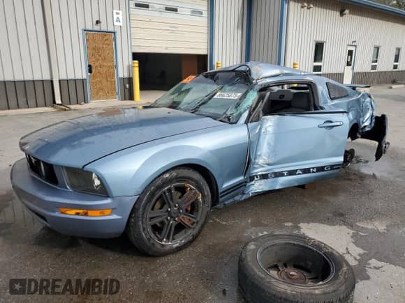2005 Ford Mustang Deluxe with VIN 1ZVFT80N655103801, listed as a Copart auction lot 86625875 with Not provided miles and Salvage title. Bid and sale history available at DreamBid. Image 1.