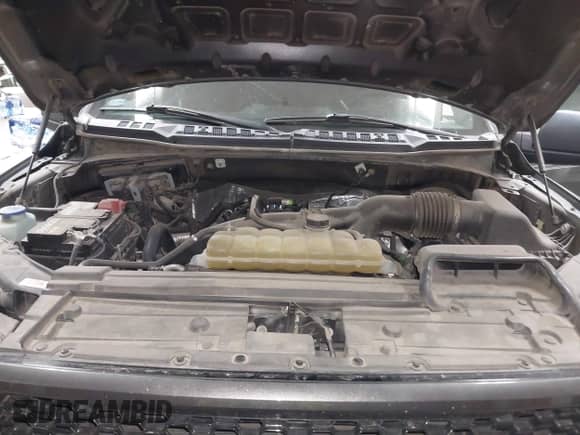 2019 Ford F-150 XL с VIN 1FTEW1CP7KKE81262, выставлен на аукционе IAAI как лот 43243091 с пробегом 98 874 миль миль и . История ставок и продаж доступна на DreamBid. Изображение 10.