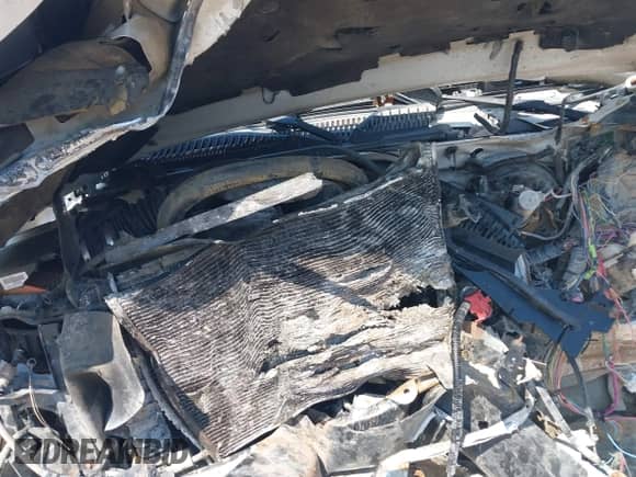 2003 Chevrolet Silverado 1500 LS с VIN 1GCEC19V43Z278336, выставлен на аукционе IAAI как лот 42558278 с пробегом Не указан миль и . История ставок и продаж доступна на DreamBid. Изображение 10.