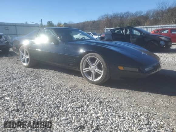 1993 Chevrolet Corvette with VIN 1G1YY23P2P5100106, listed as a Copart auction lot 80631194 with 144,981 mi miles and Salvage title. Bid and sale history available at DreamBid. Image 4.
