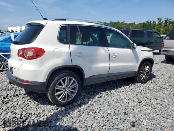 2010 Volkswagen Tiguan с VIN WVGAV9AX4AW509914, выставлен на аукционе Copart как лот 64228325 с пробегом 184 159 миль миль и Списание • Salvage title. История ставок и продаж доступна на DreamBid. Изображение 3.