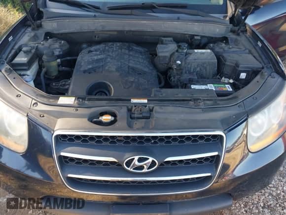 2009 Hyundai Santa Fe Limited z VIN 5NMSH13E09H248275, wystawiony jako IAAI lot #43482011 z przebiegiem 246 798 mil mil oraz . Historia ofert i sprzedaży dostępna na DreamBid. Obrazek 10.