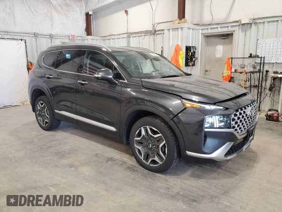 2022 Hyundai Santa Fe Limited с VIN 5NMS4DAL9NH466269, выставлен на аукционе Copart как лот 71901825 с пробегом 24 615 миль миль и Списание • Salvage title. История ставок и продаж доступна на DreamBid. Изображение 4.